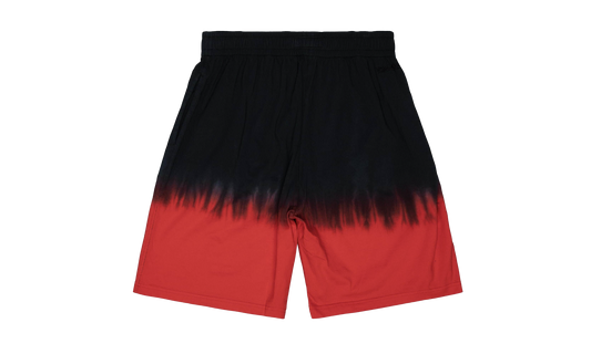 Tie Dye Shorts 2