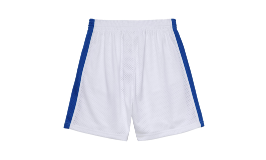 NBA SWINGMAN SHORTS RAPTORS 1996 2